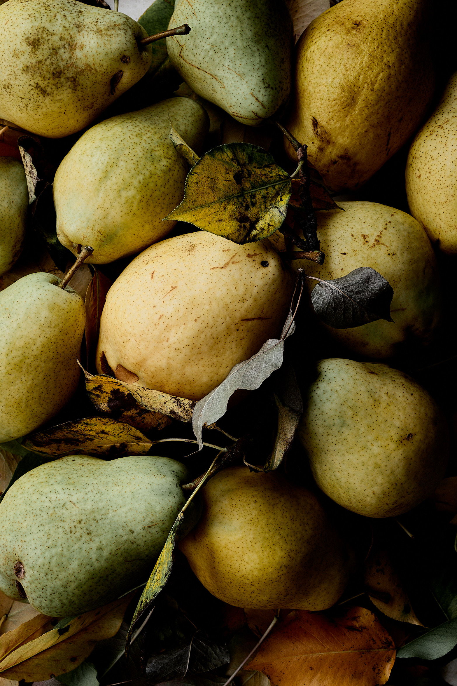 pear food photography photoloupe